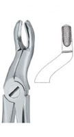 Tooth Extracting Forceps